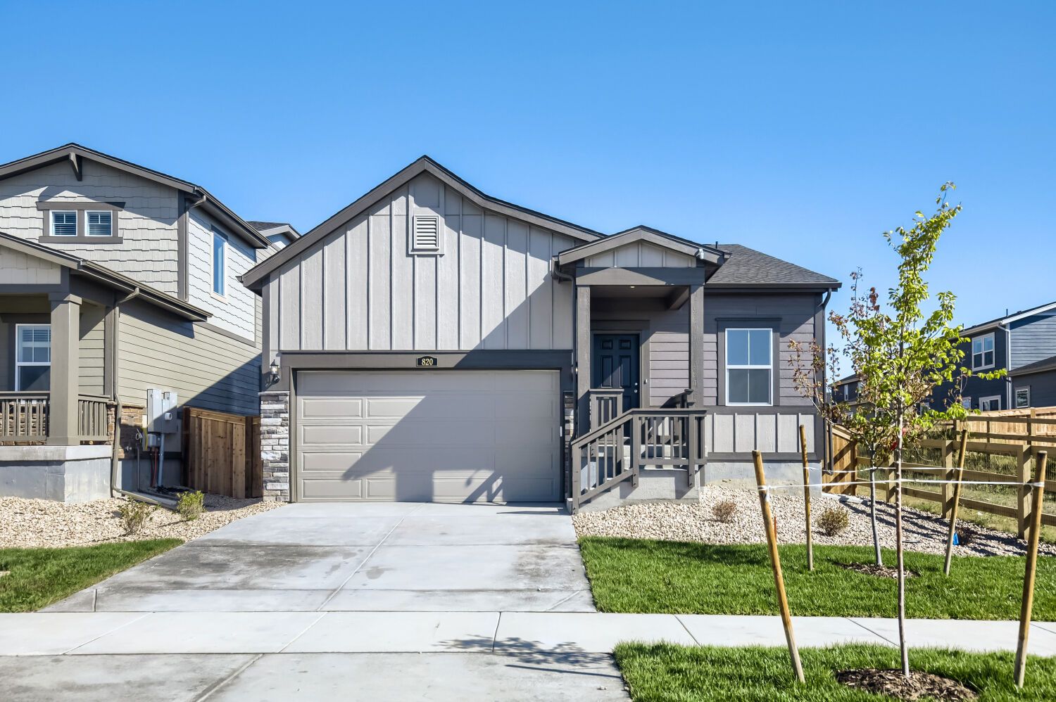 Daisy - Prairie Song - The Petal Collection: Windsor, Colorado - Lennar