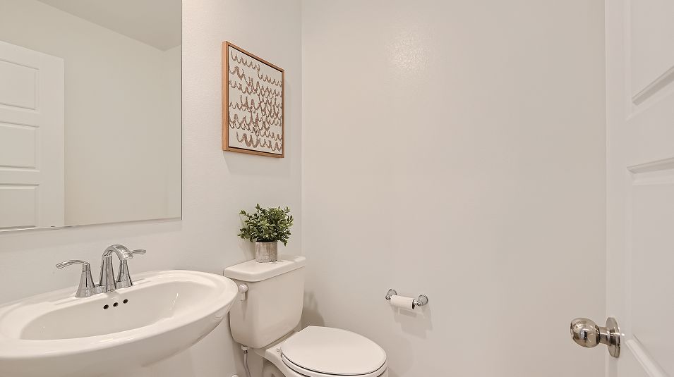 Powder room with pedestal sink