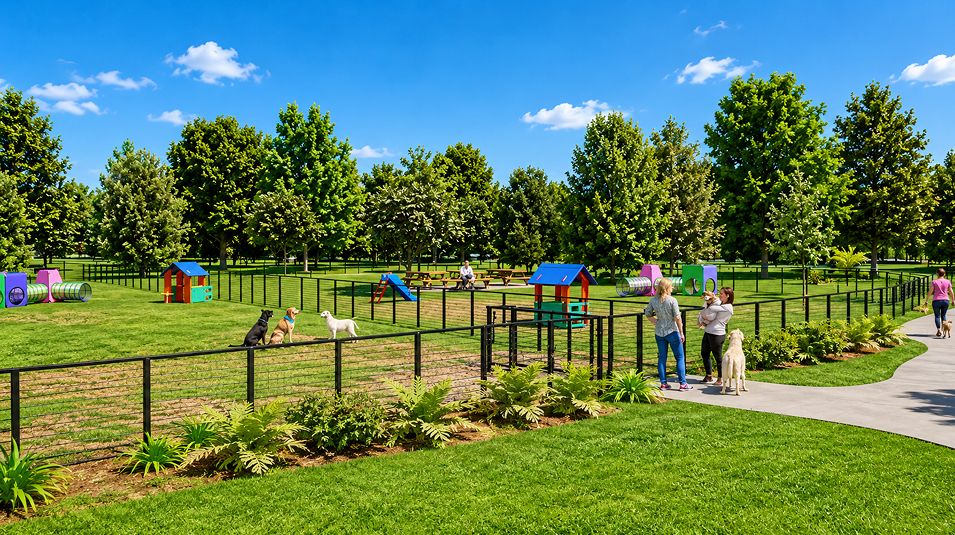 Tara Baywood Amenity Dog Park