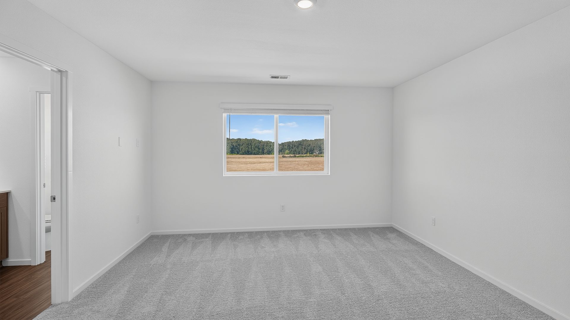 Curry Meadows Helena 24