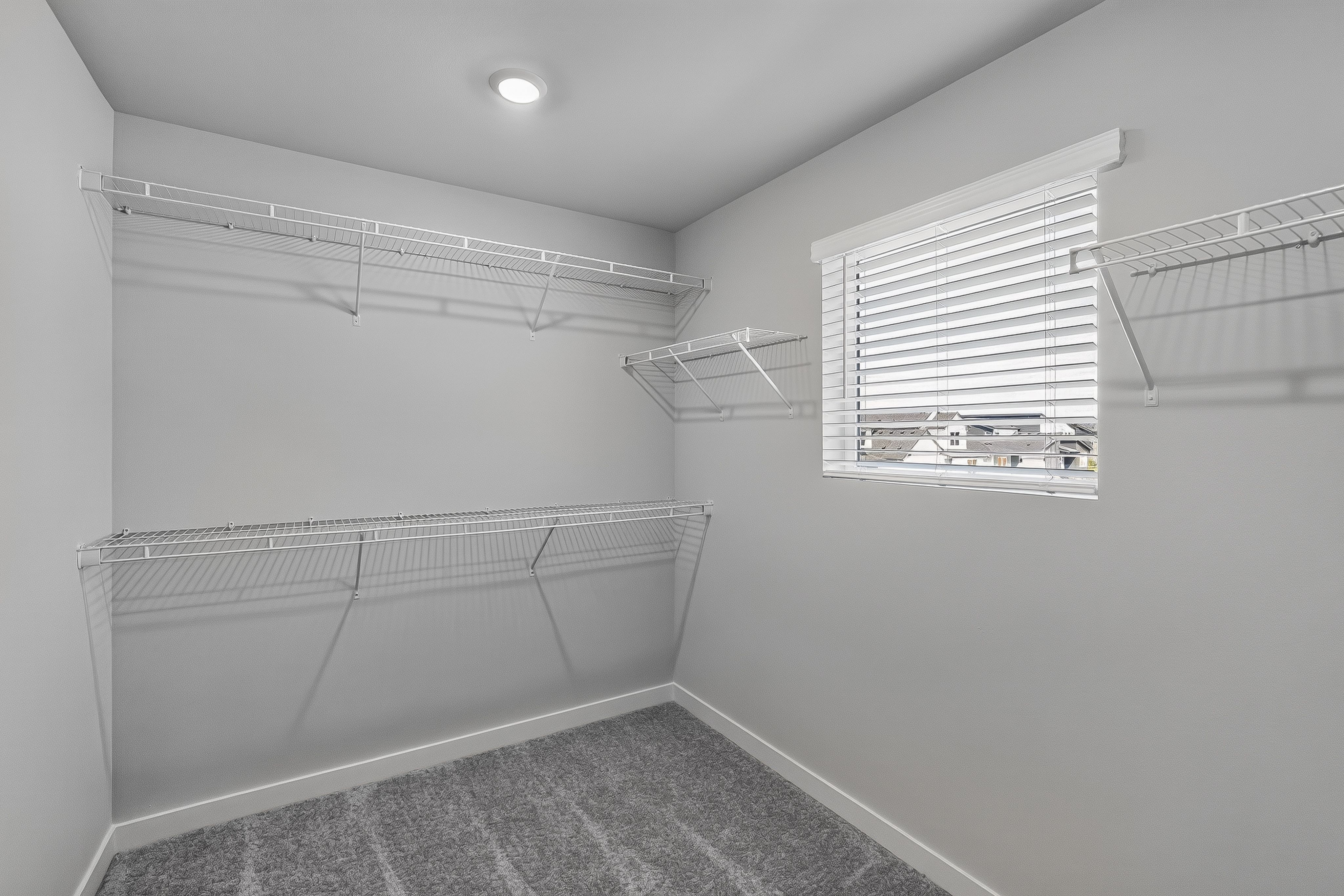 Heartwood Jasmine 31