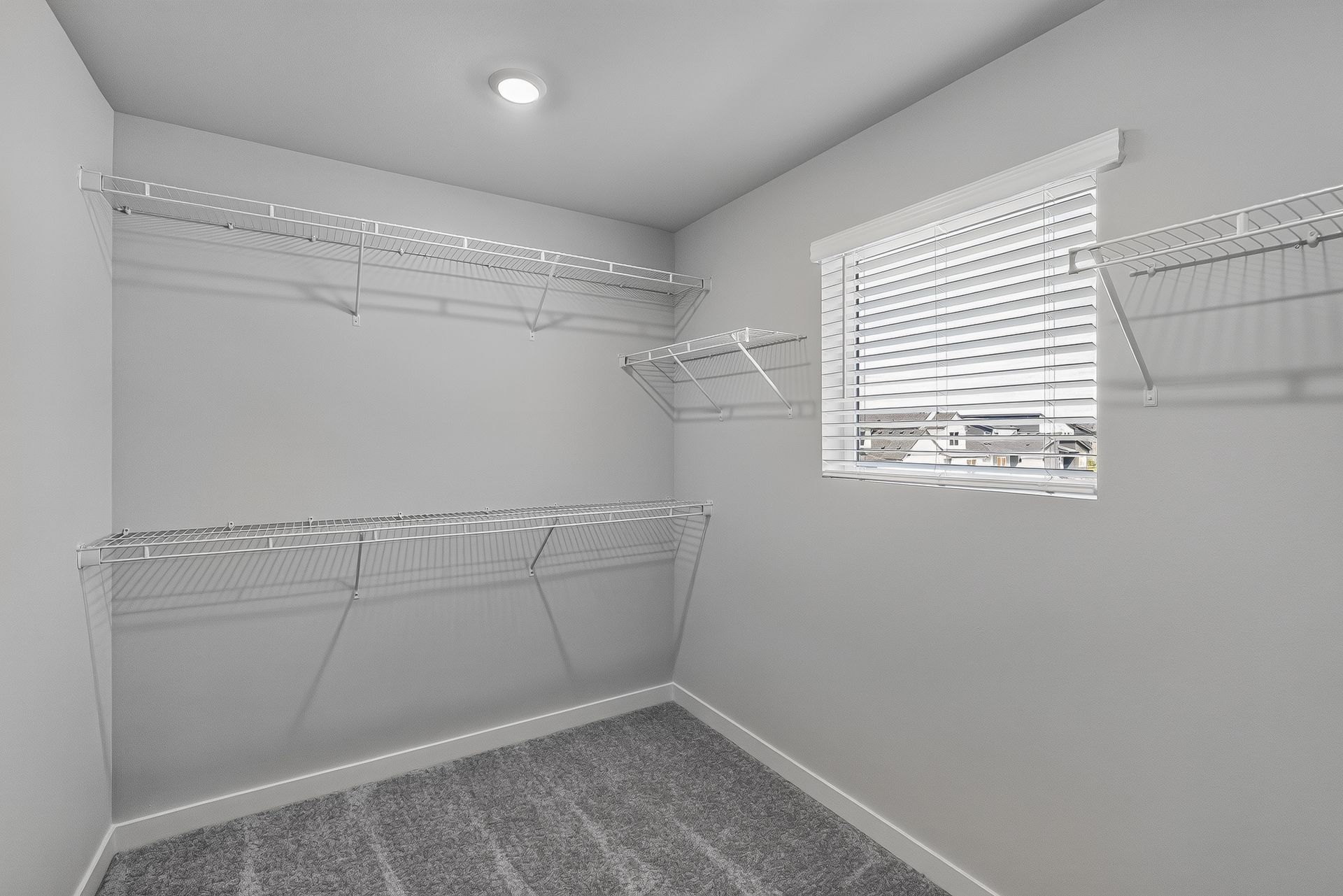 Heartwood Jasmine 31