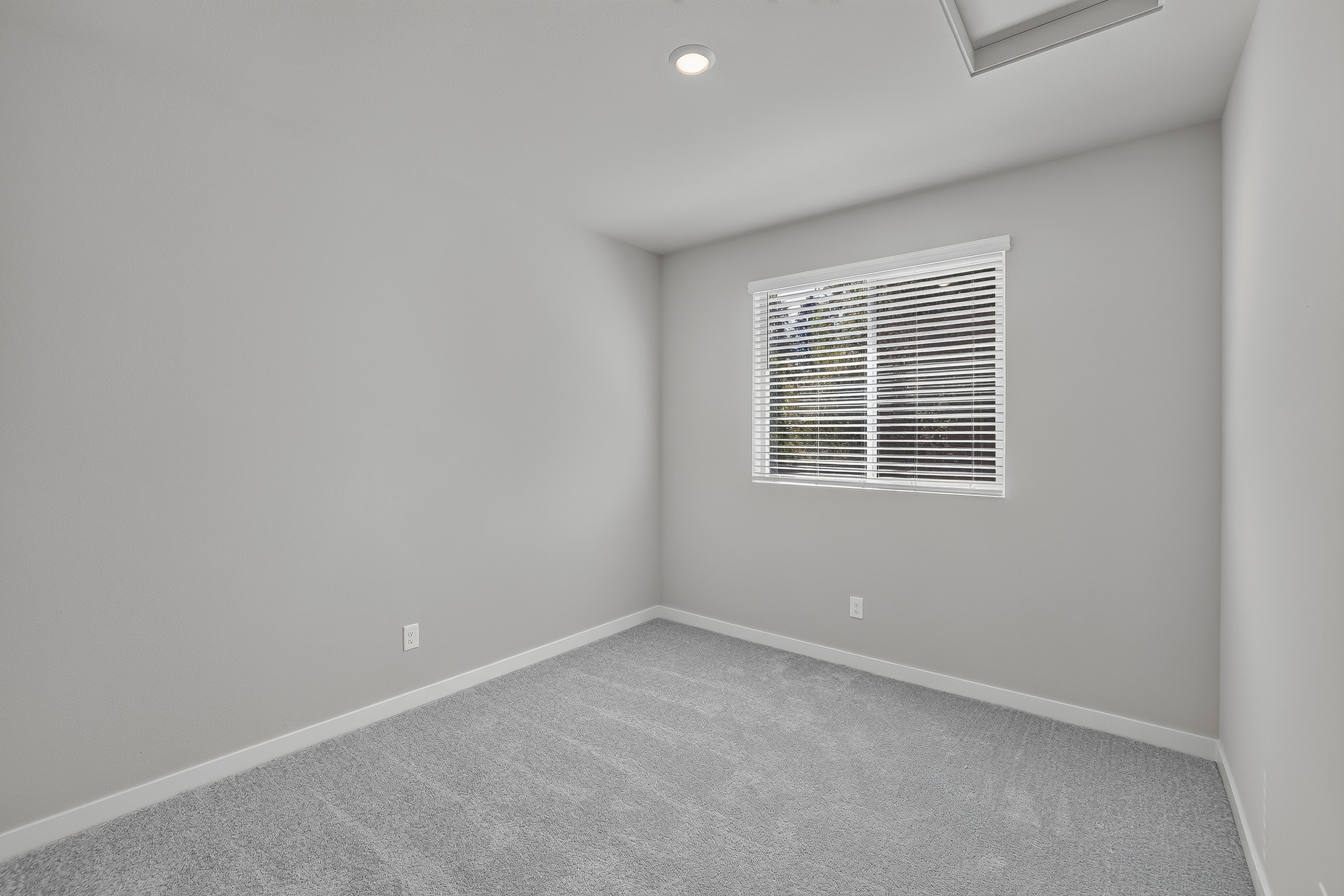 Heartwood Jasmine 18