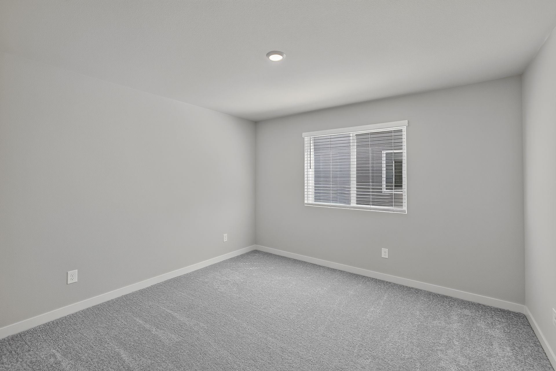 Heartwood Jasmine 20