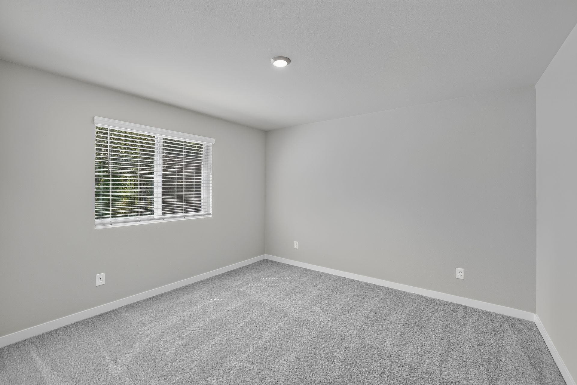 Heartwood Jasmine 21