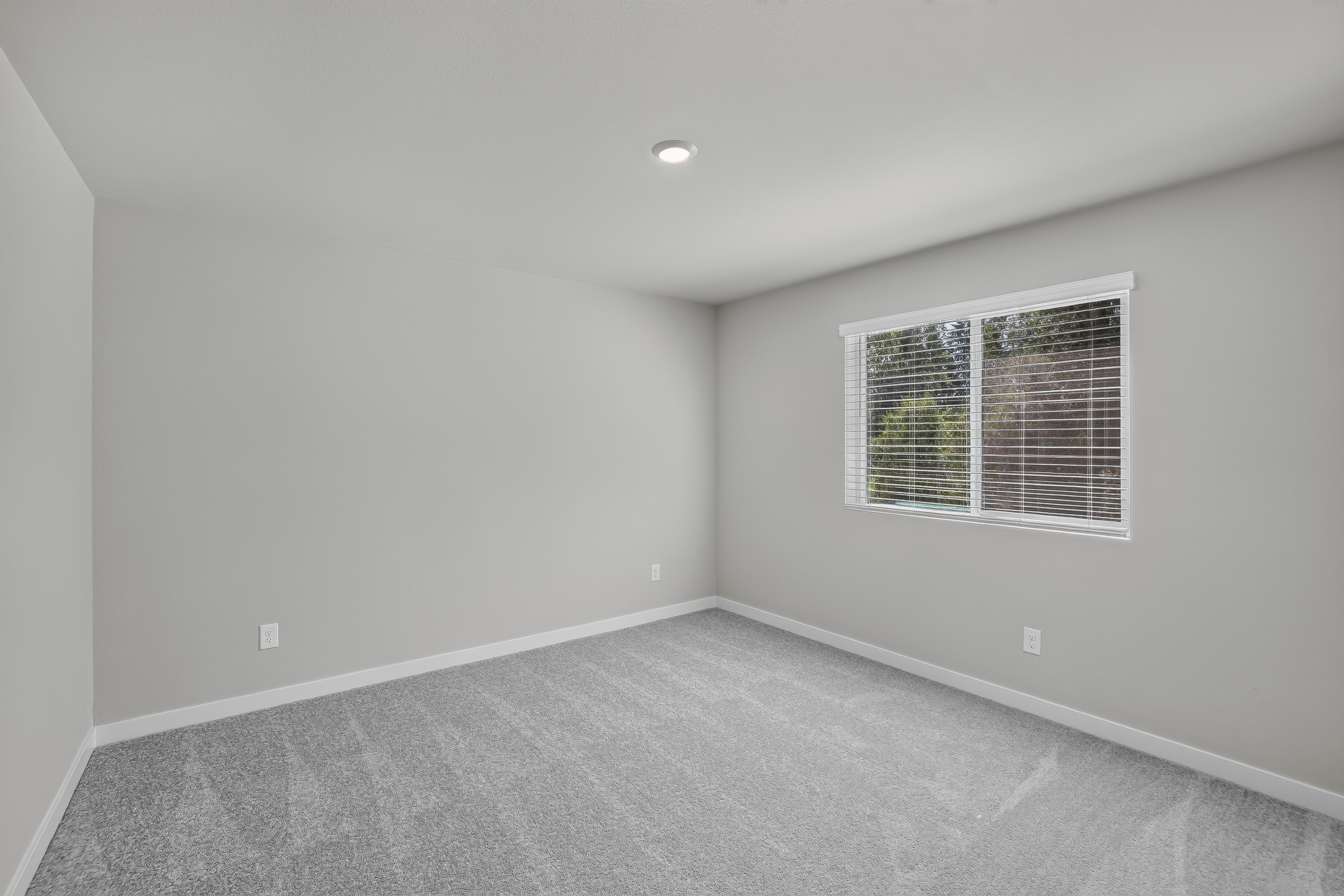 Heartwood Jasmine 24
