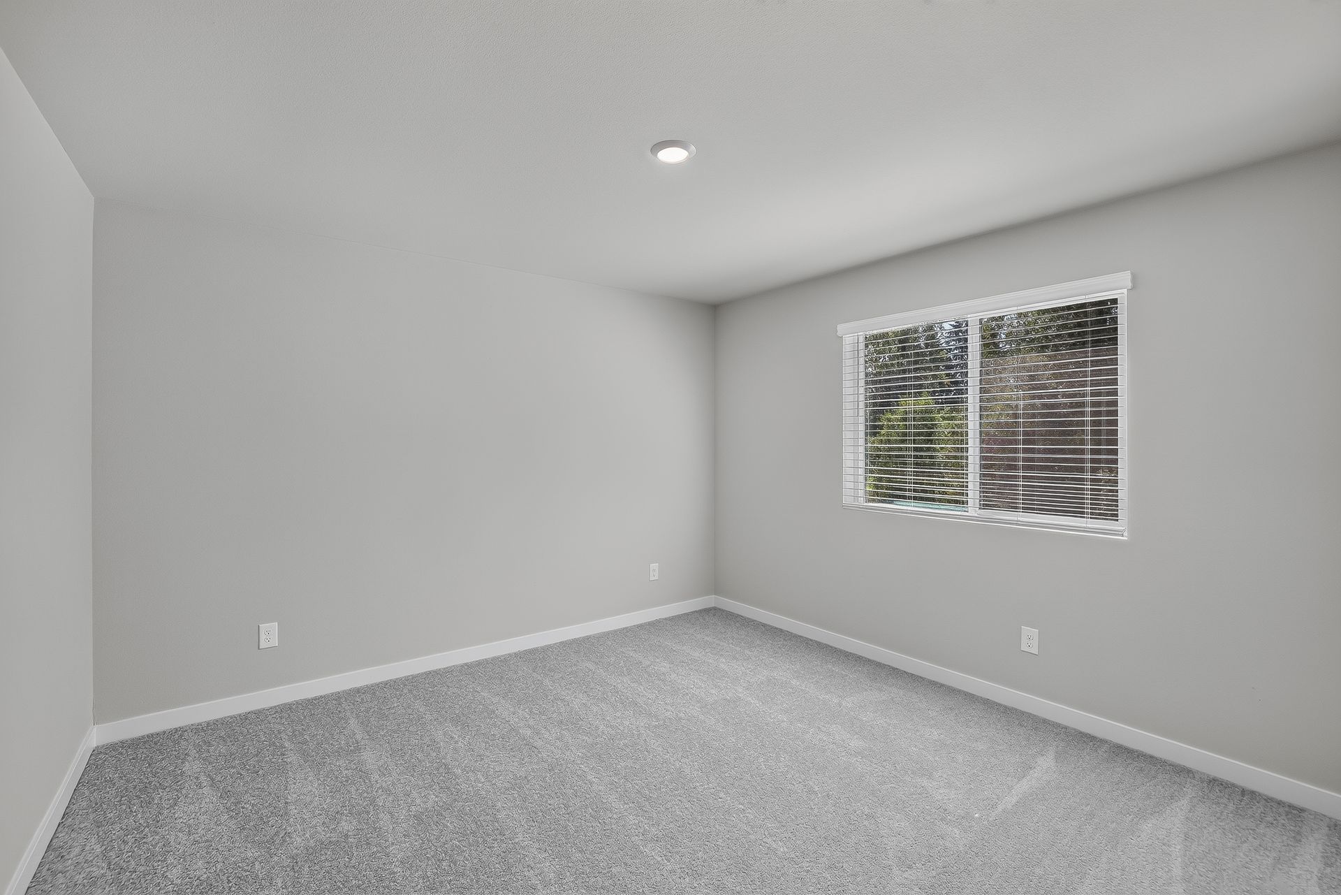 Heartwood Jasmine 24