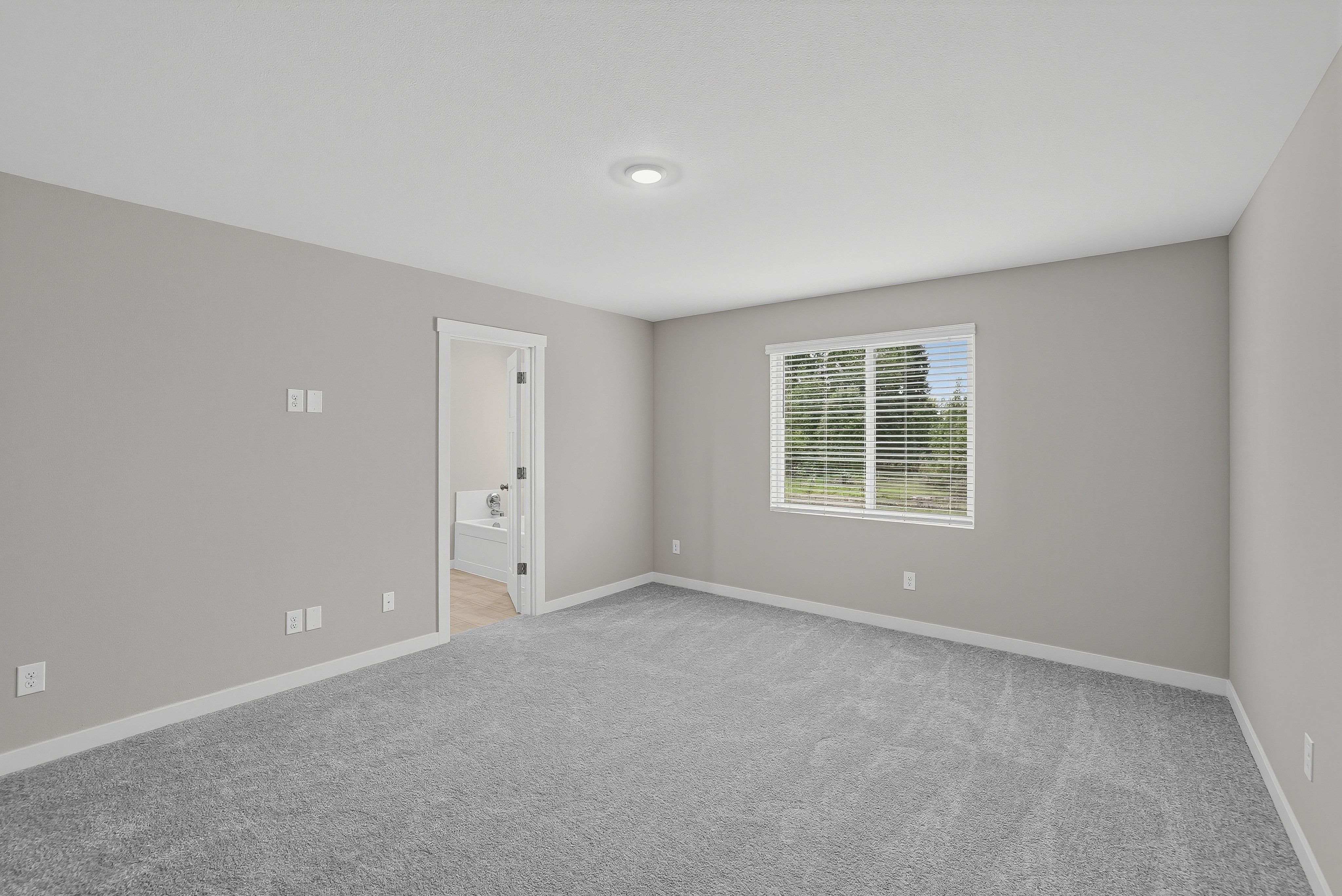 Heartwood Cypress 18
