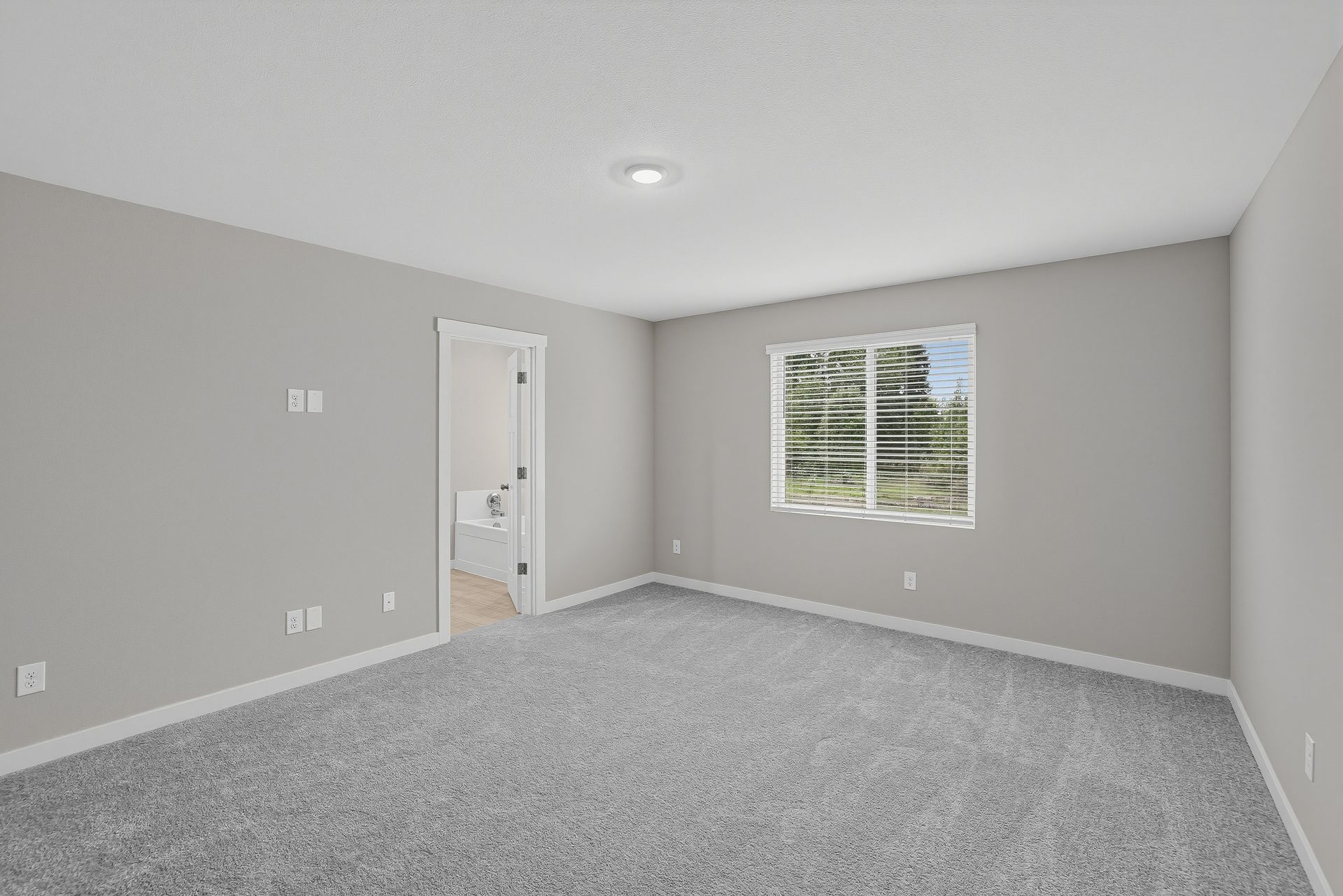 Heartwood Cypress 18