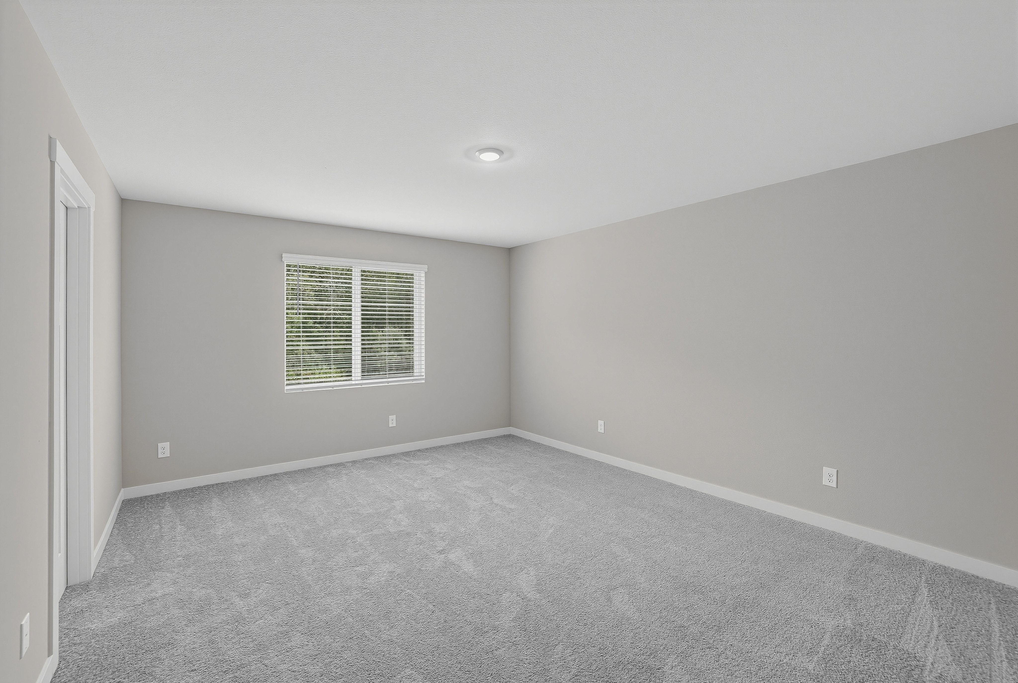 Heartwood Cypress 19