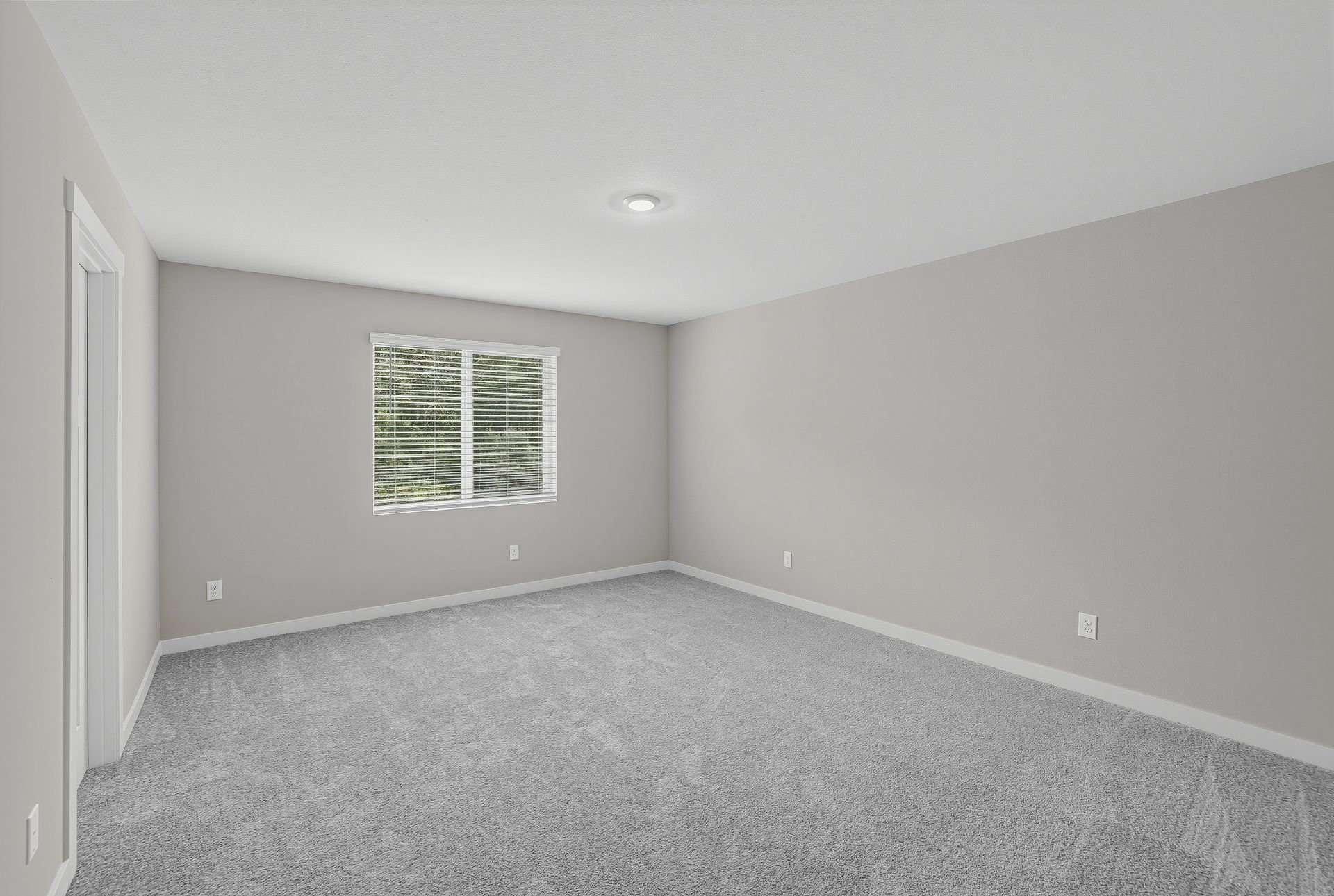 Heartwood Cypress 19