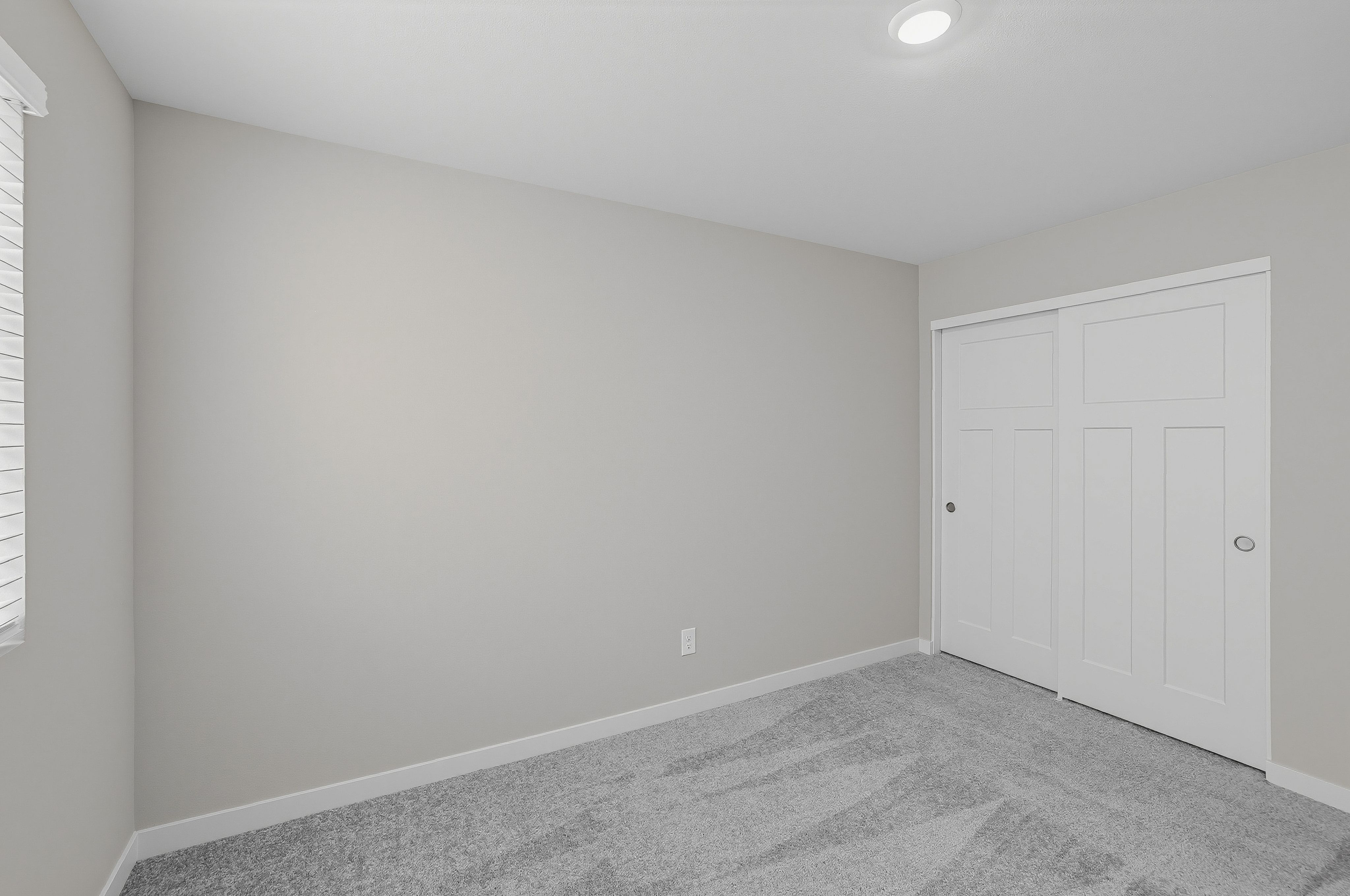 Heartwood Cypress 20
