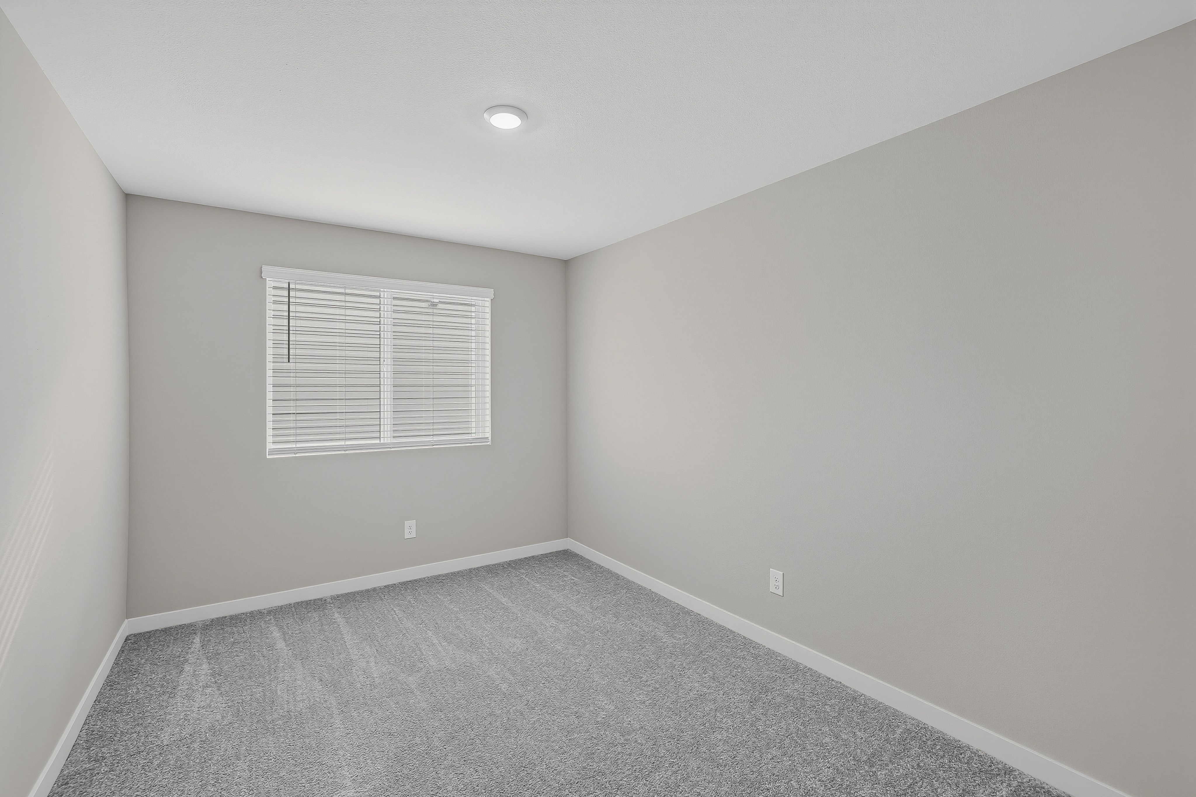 Heartwood Cypress 21