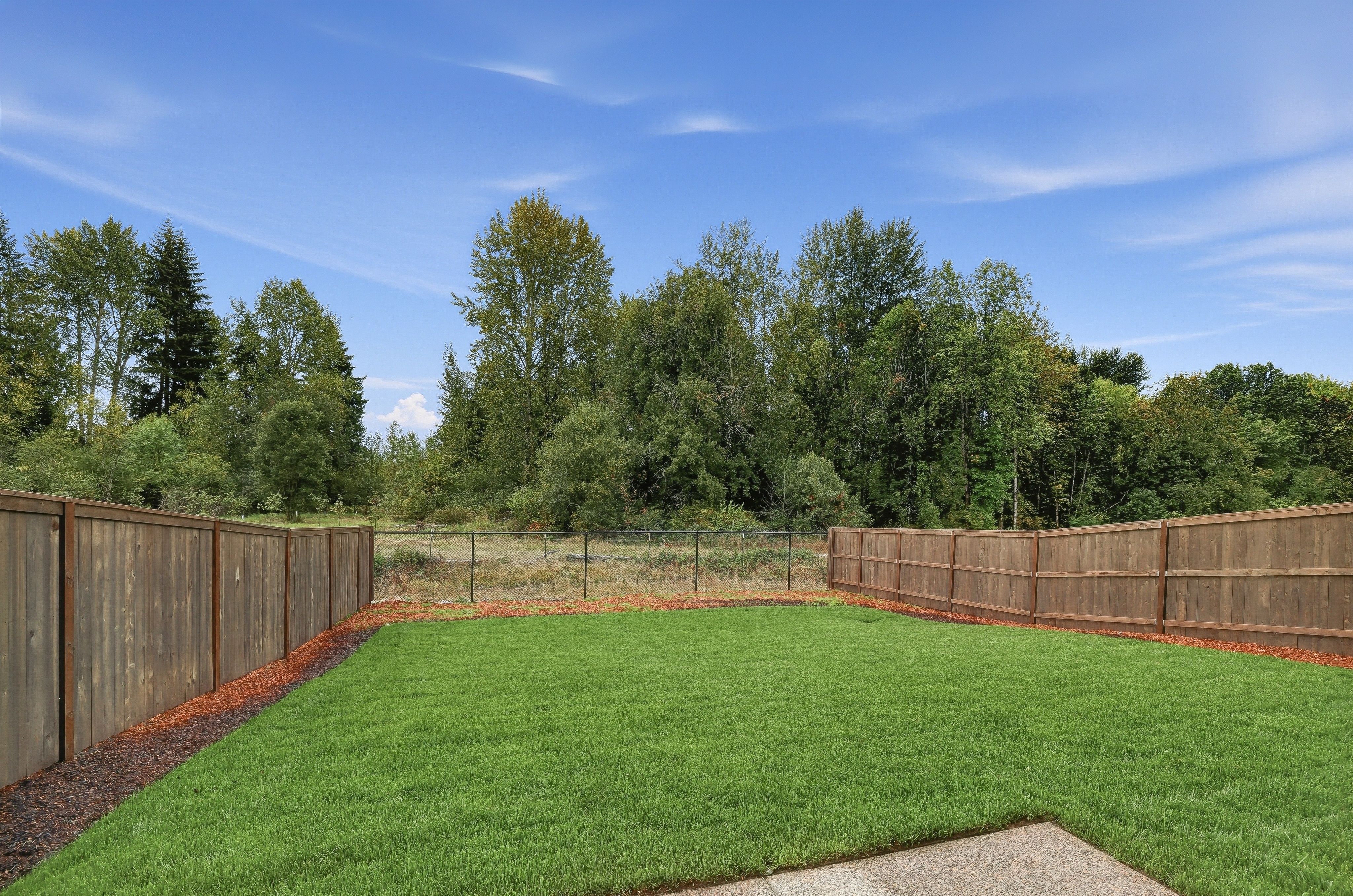 Heartwood Cypress 4
