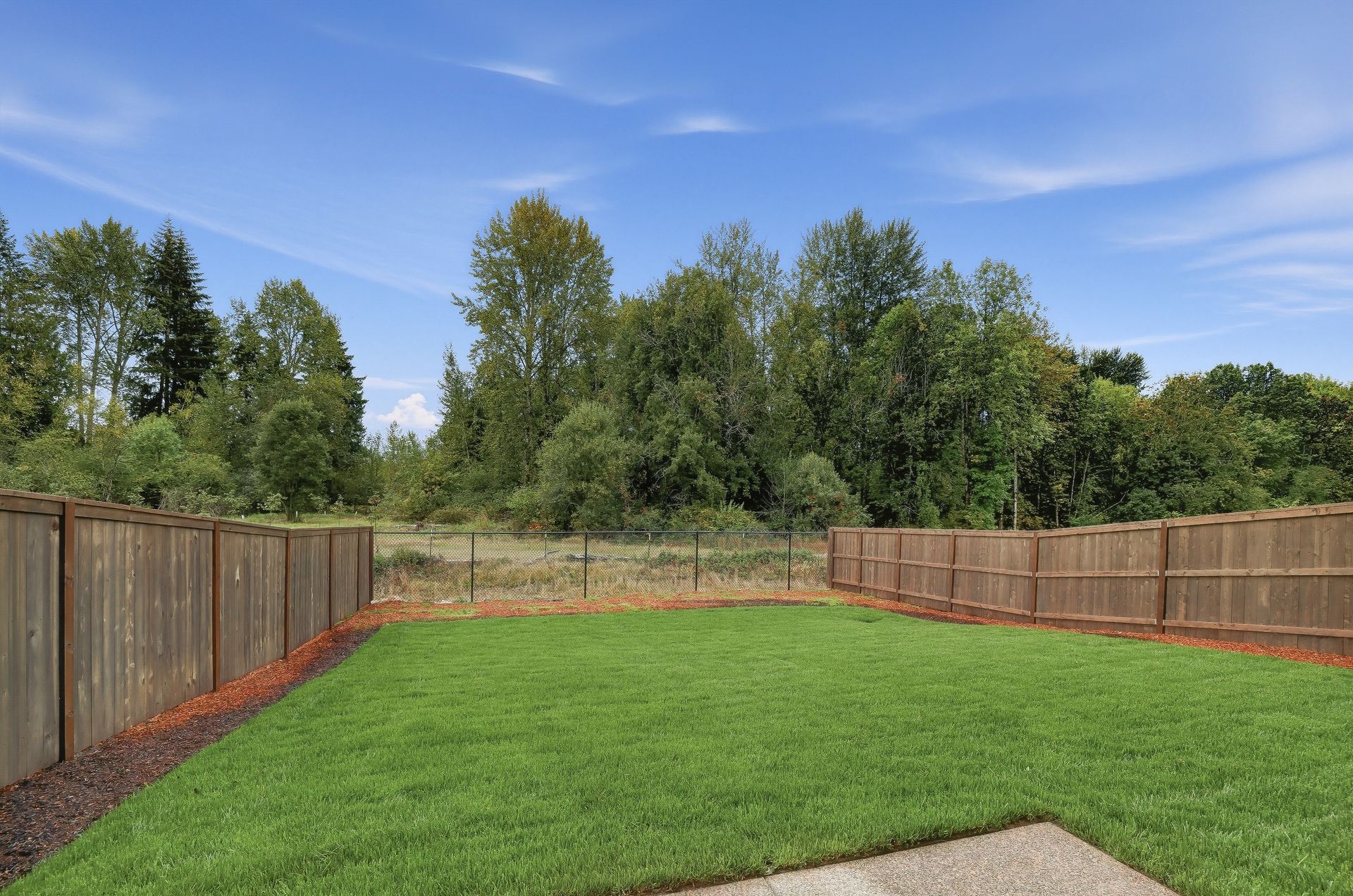 Heartwood Cypress 4
