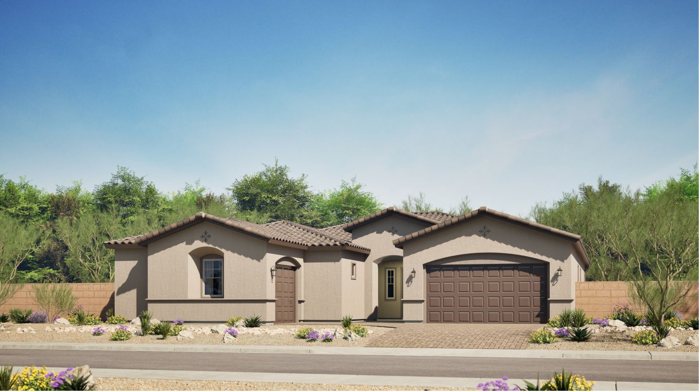 Saddleback - Destiny - Peoria, AZ