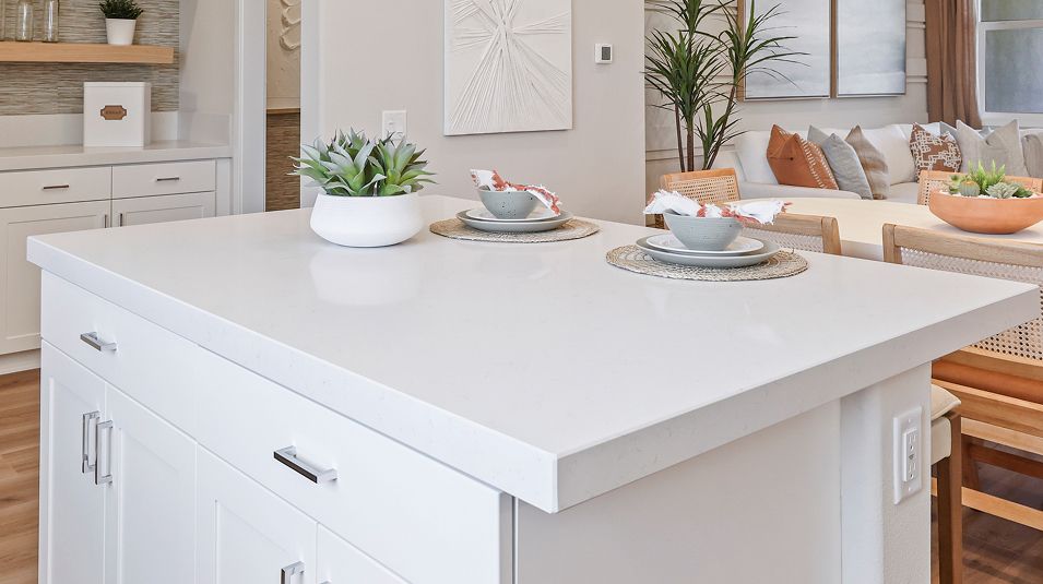 Brio Res1 Kitchen 2of2 F2