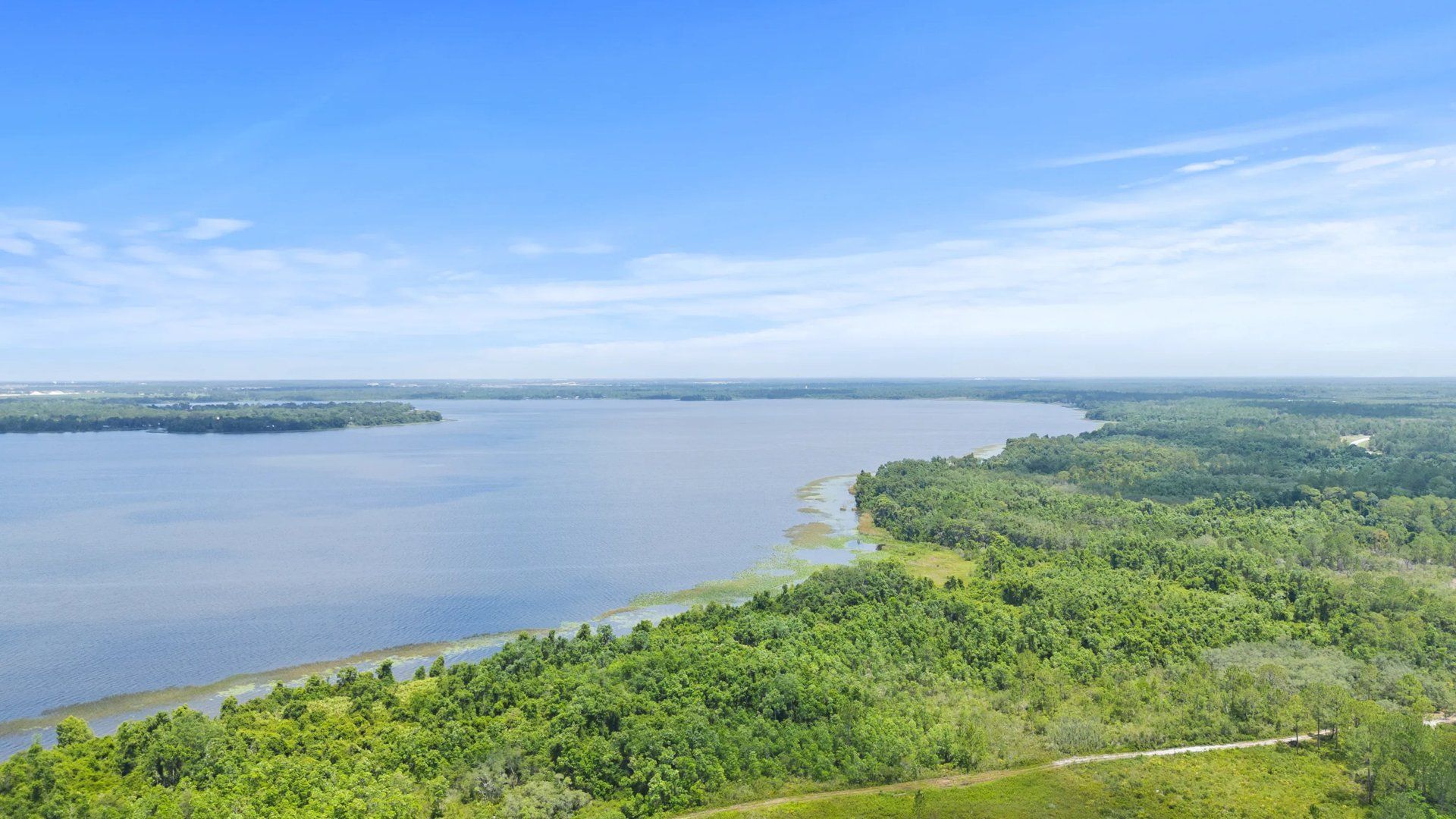 Lake Marion aerial landscape