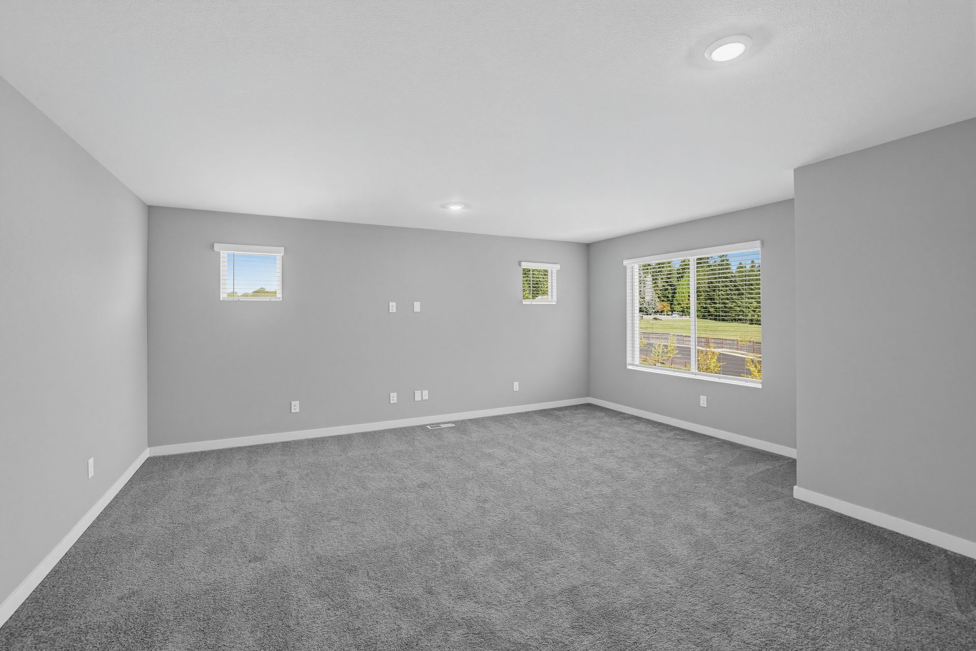 Ramble Creek Mulberry 31