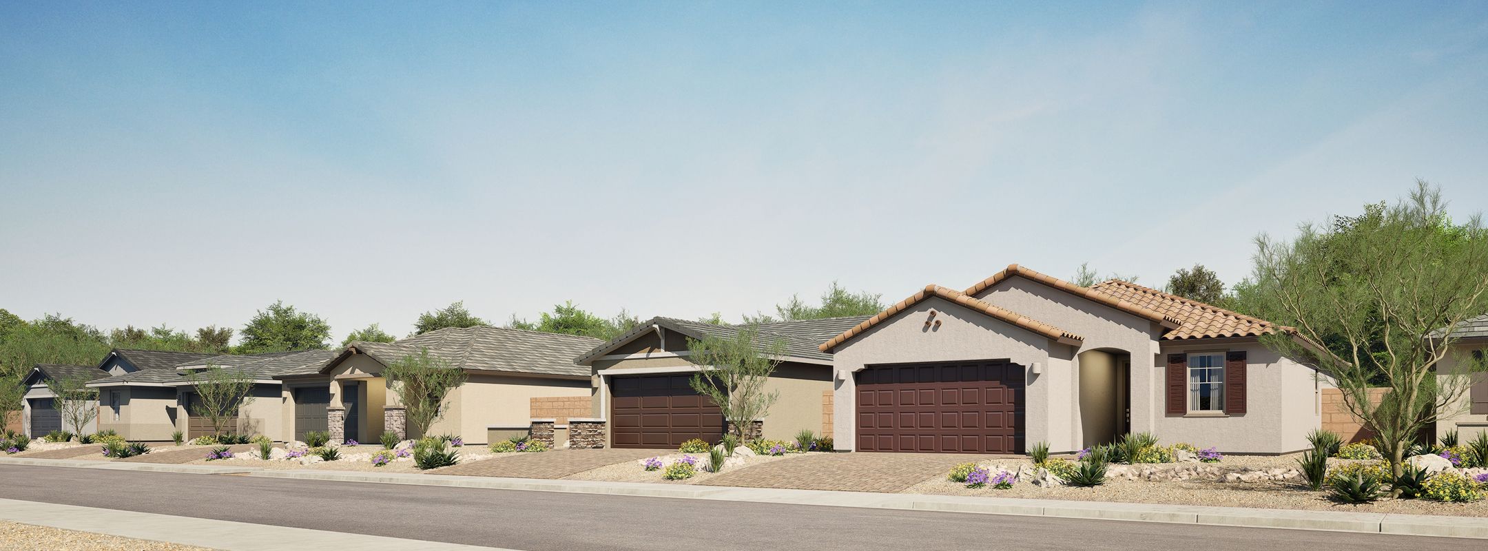 Premier III Anderson Farms Streetscape