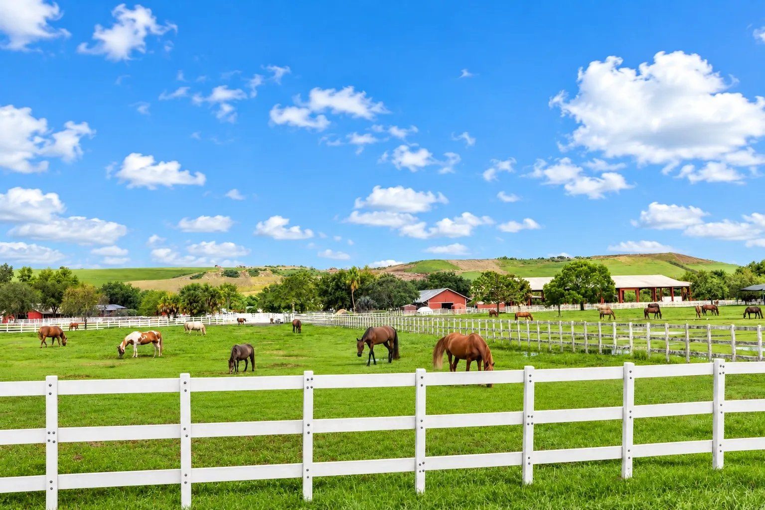 Tradewinds Park & Stables