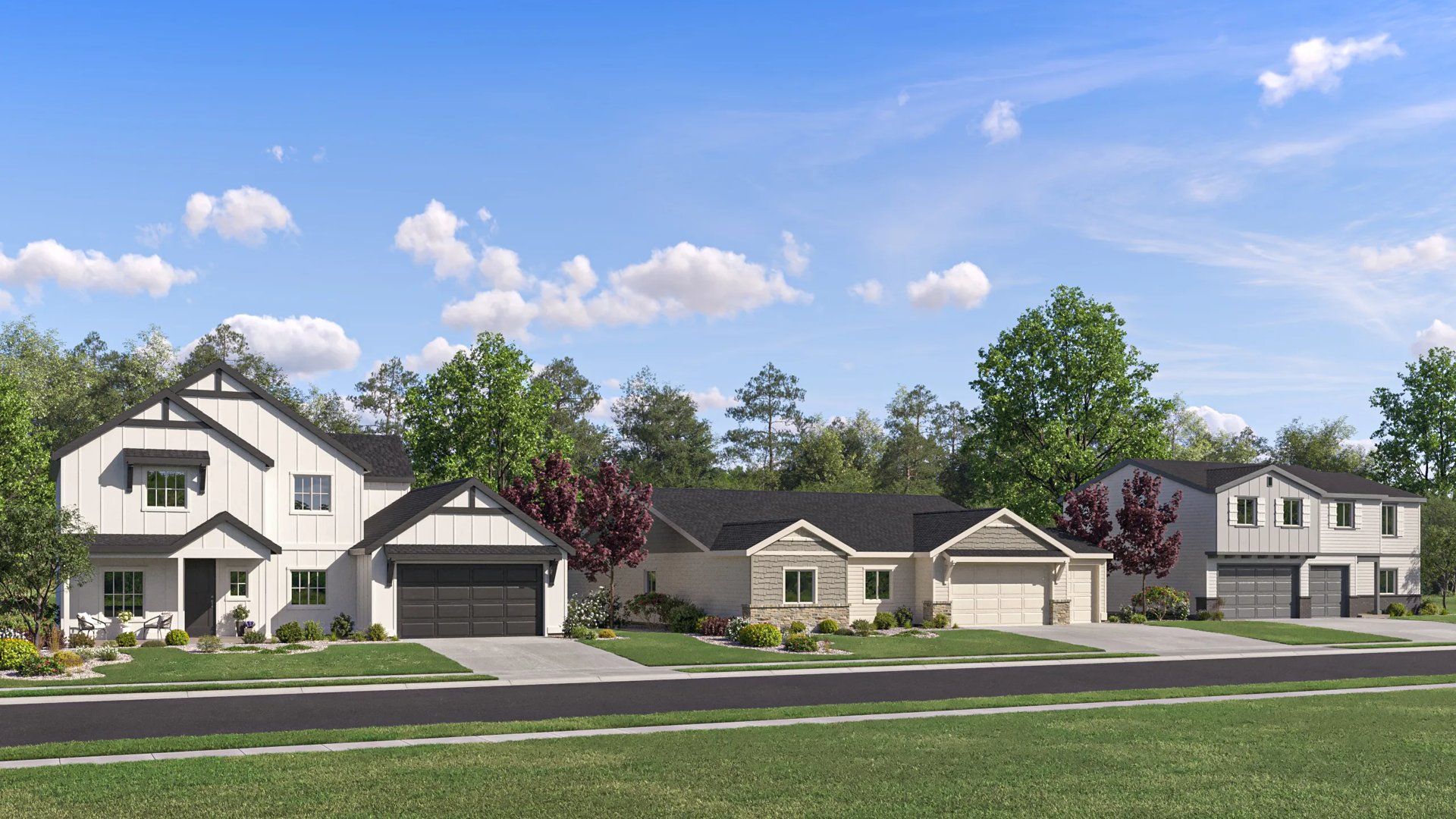 Streetscape of neighborhood homes