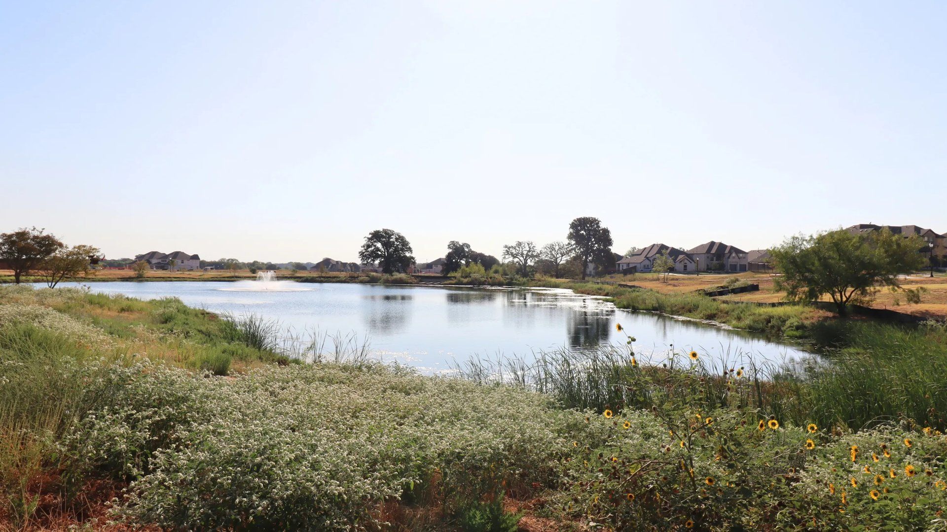 Pond amenity