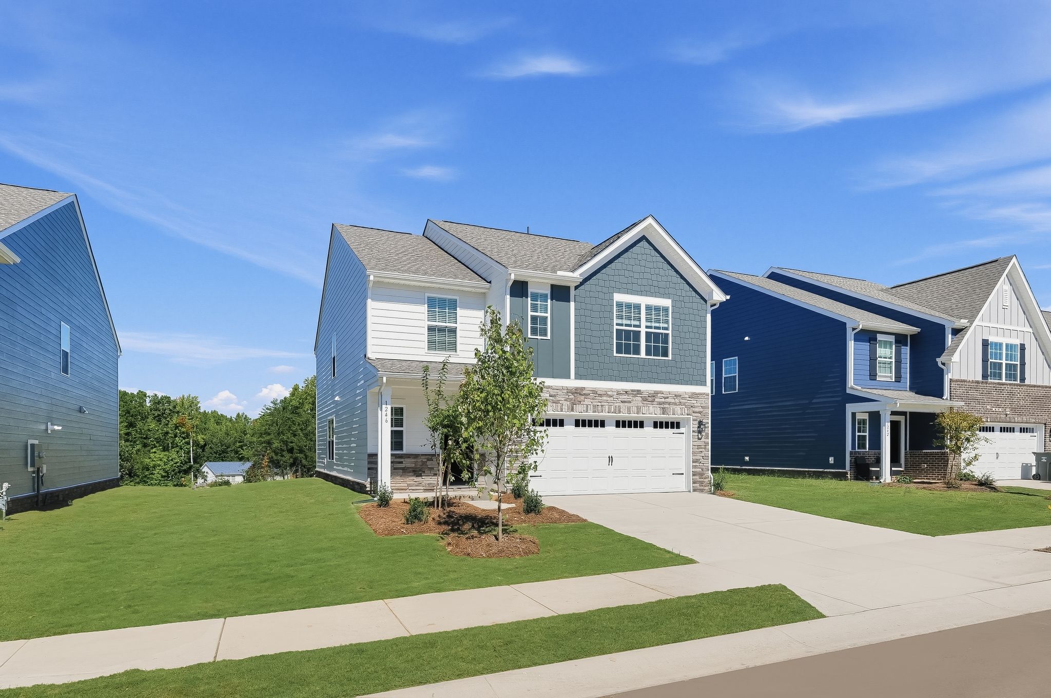 Cannon Village Dream Dickenson II 4