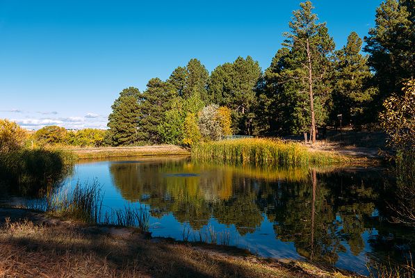 Elizabeth Park Open Space