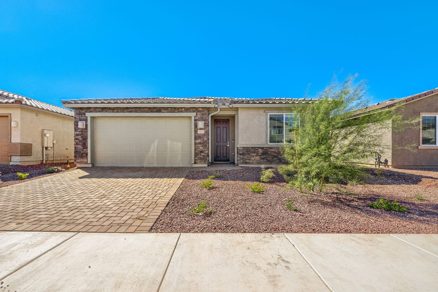 Aster - Monarch - Saguaro at Desert Bloom: Marana, Arizona - Lennar