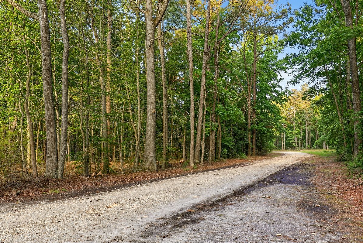 Georgetown Redden State Forest 2of8