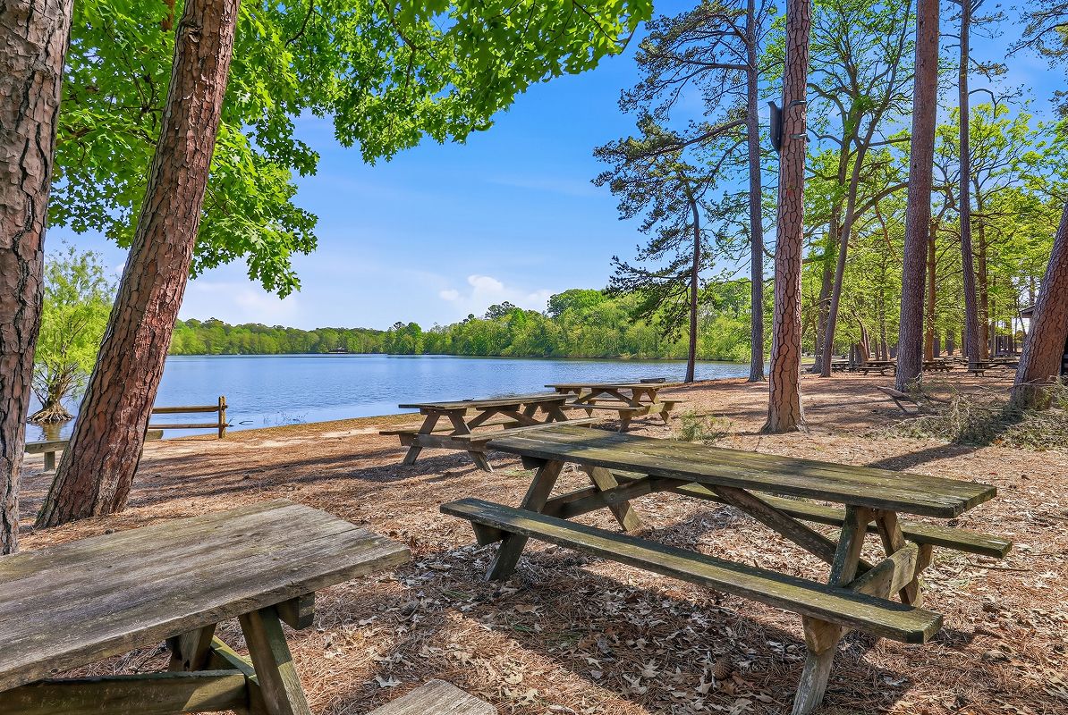 Laurel Trap Pond State Park 4of5