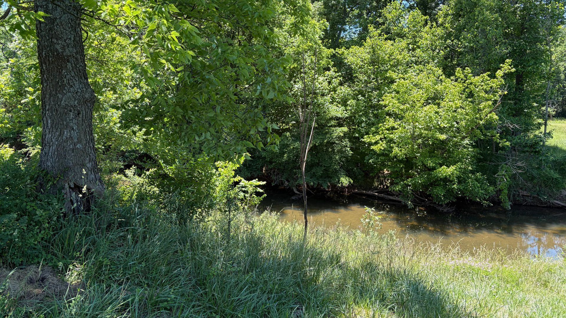 Trail amenity image