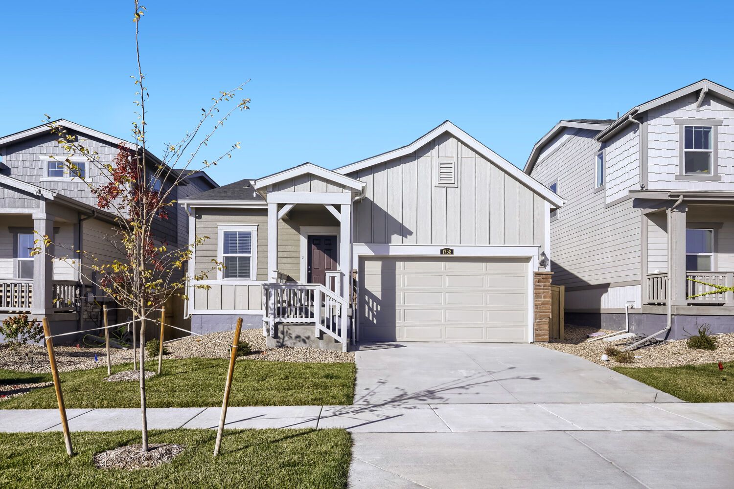 Daisy - Prairie Song - The Petal Collection: Windsor, Colorado - Lennar