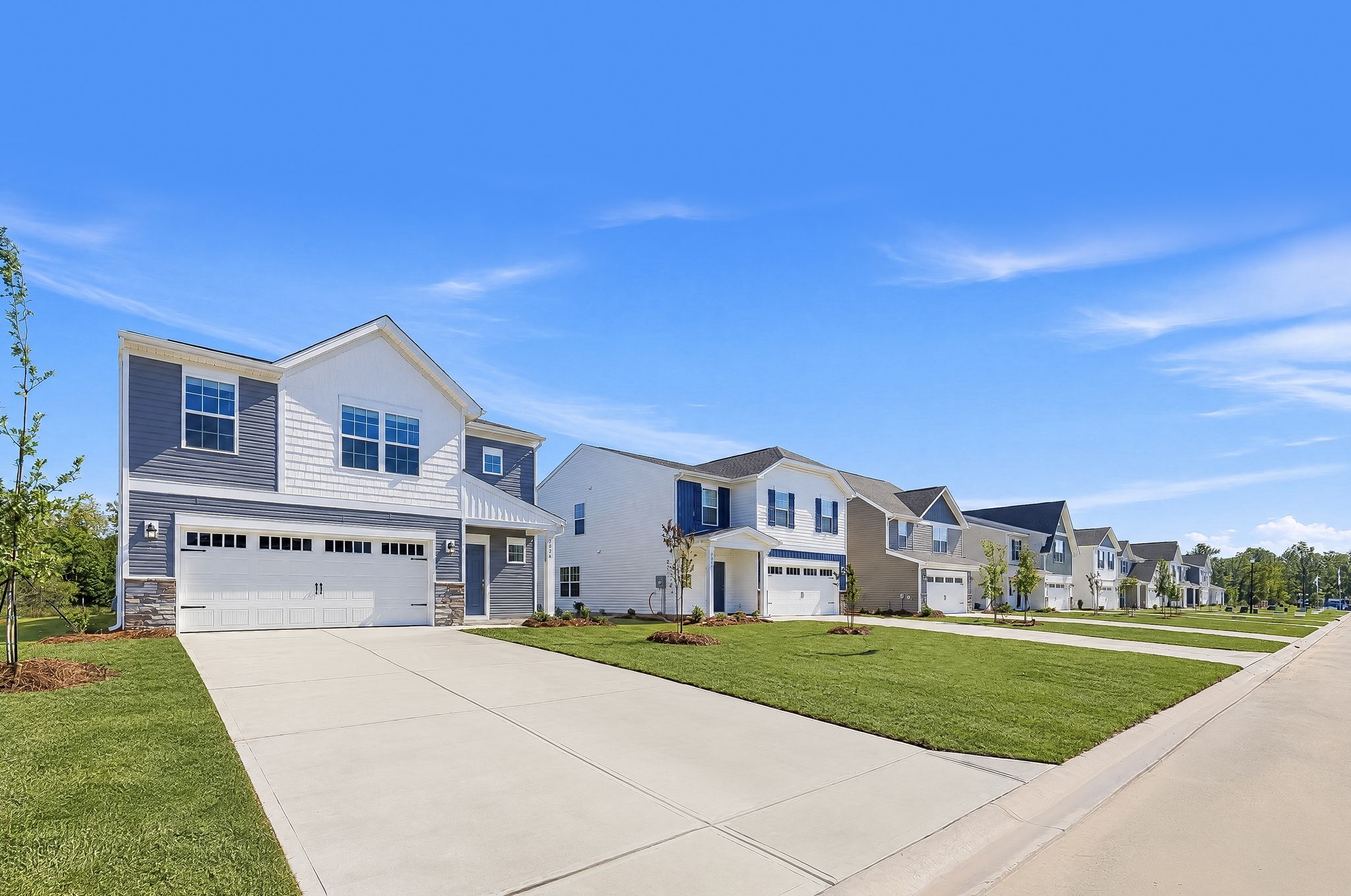 Crescent Hills Crane II 4