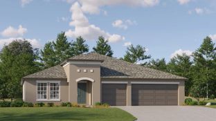 Lincoln - Park East - The Executives: Plant City, Florida - Lennar