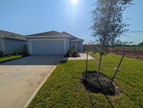 319 Brandi Drive (Idlewood)