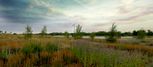 Barefoot Lakes - The Pioneer Collection - Firestone, CO