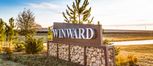 Home in Winward - Wildflower II Collection by Lennar
