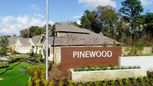 Pinewood at Grand Texas - Wildflower II Collection - New Caney, TX