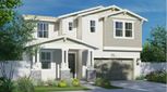 Home in Country Lane - Shady Tree by Lennar