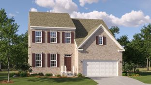 Plymouth Basement - Senseny Village - Single Family Homes: Winchester, District Of Columbia - Lennar