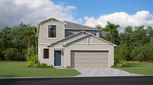 Aurora at Lakewood Ranch - Patio Homes - Lakewood Ranch, FL