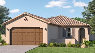 Jerome Plan 3556 - Middle Vista - Premier: Phoenix, Arizona - Lennar