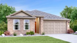 Albany - Cotton Brook - Claremont Collection: Hutto, Texas - Lennar