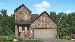 Willow - The Trails - Avante Collection: New Caney, Texas - Village Builders