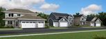 Fields of Winslow Cove - Lifestyle Villa Collection - Andover, MN