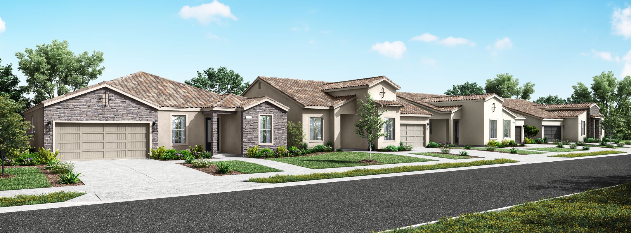 Marcona Preserve Rendering Streetscape