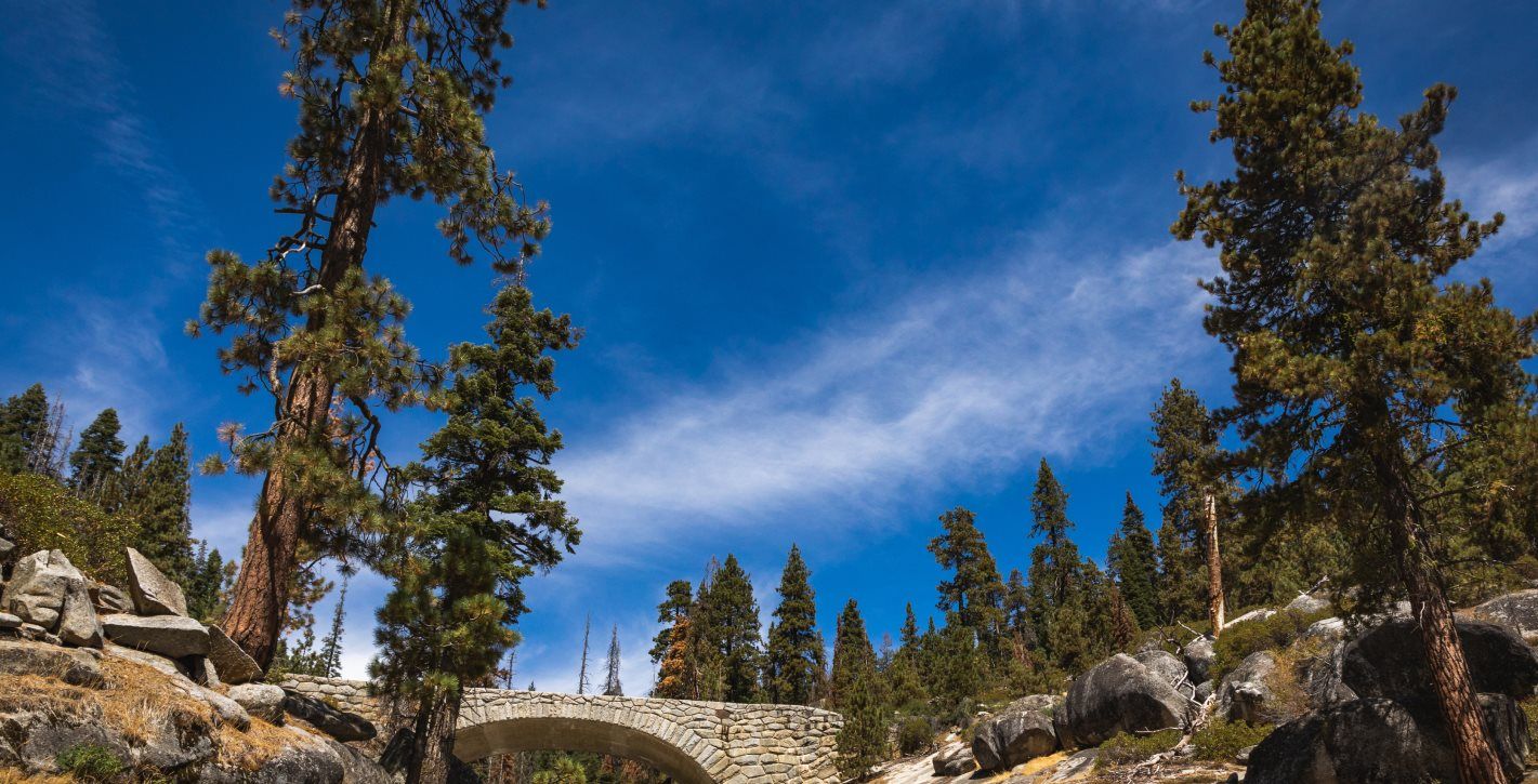 Sequoia National Park