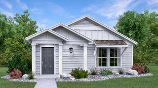 Cambria - Waterstone - Stonehill Collection: Kyle, Texas - Lennar